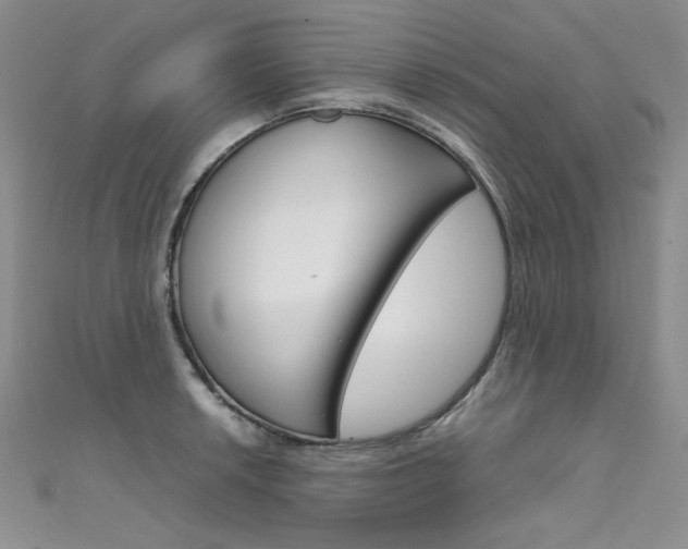 X0000111661042200907171115