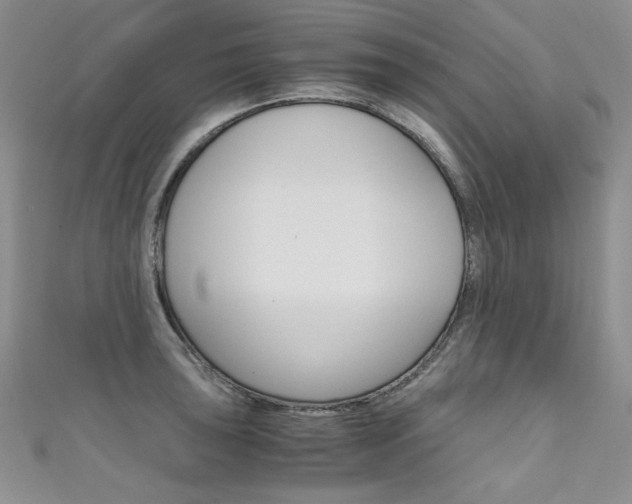 X0000111661043200907171115