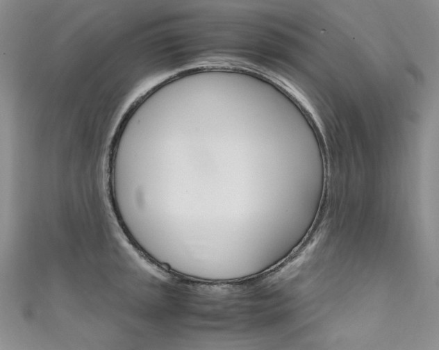 X0000111661045200907171115