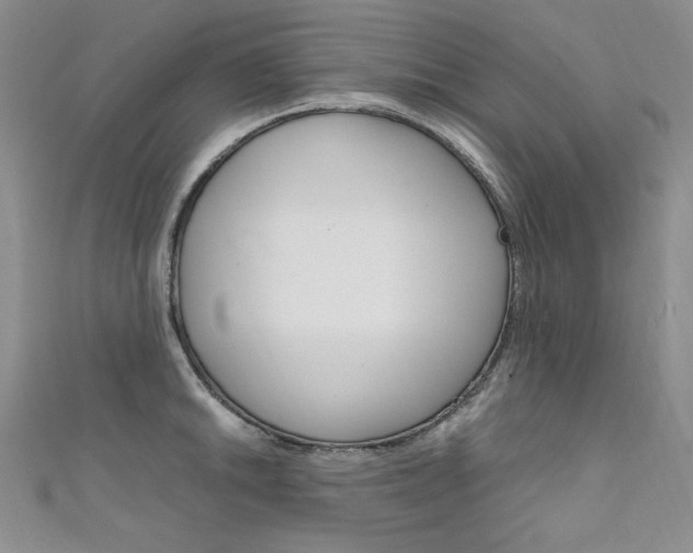 X0000111661046200907171115