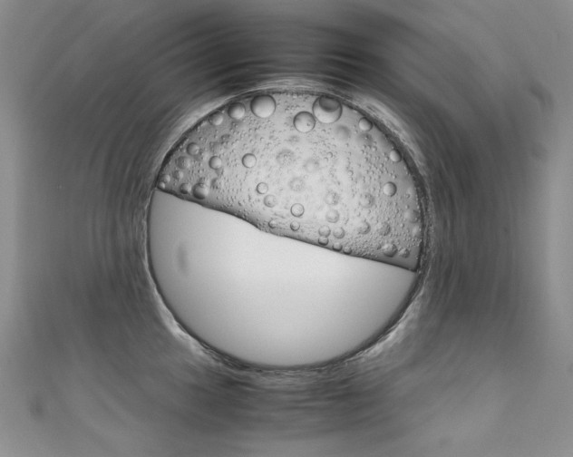 X0000111661049200907171115
