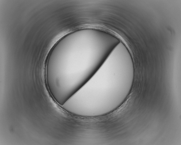 X0000111661050200907171115