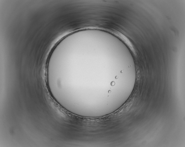 X0000111661051200907171115