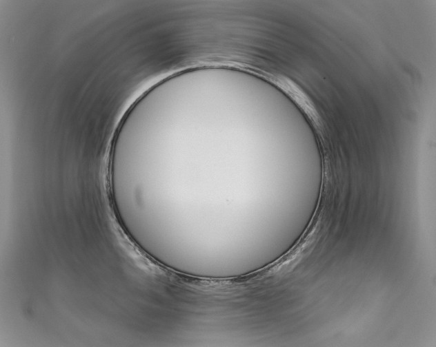 X0000111661052200907171115