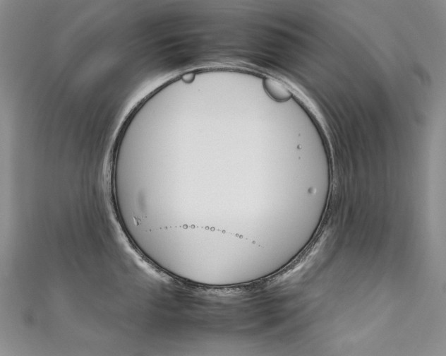 X0000111661053200907171115