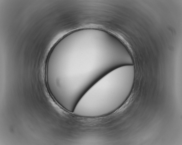 X0000111661054200907171115