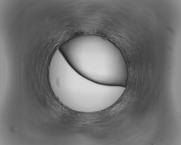 X0000111661057200907171115
