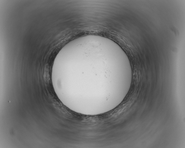 X0000111661058200907171115