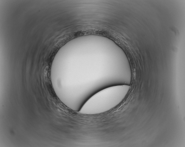 X0000111661059200907171115