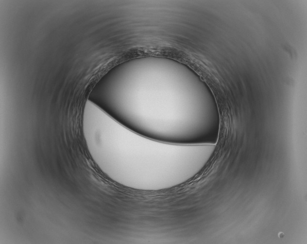 X0000111661060200907171115