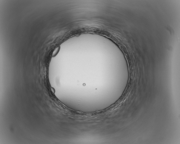X0000111661061200907171115