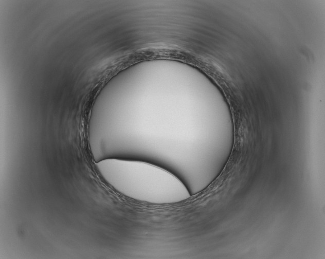 X0000111661062200907171115