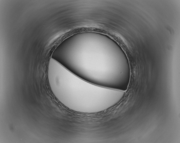 X0000111661064200907171115
