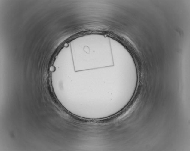 X0000111661065200907171115