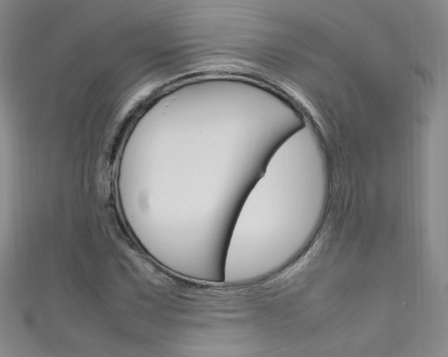 X0000111661067200907171114
