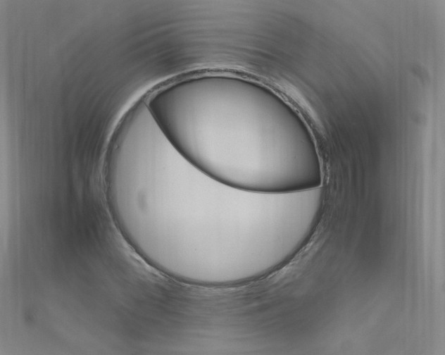 X0000111661068200907171114