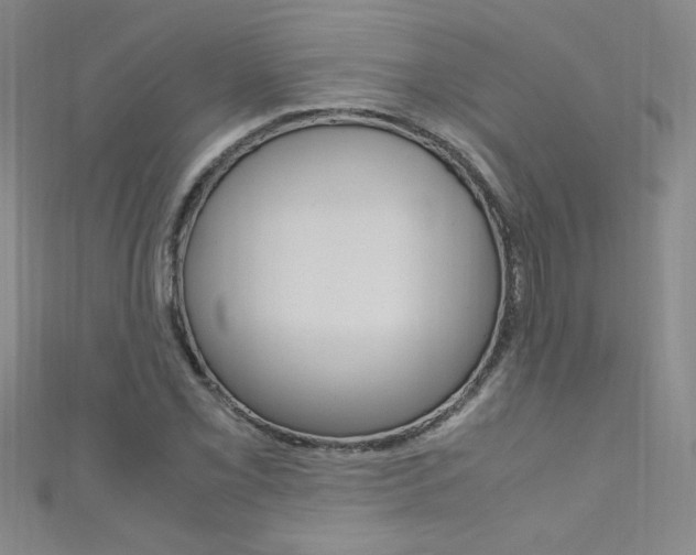 X0000111661069200907171114