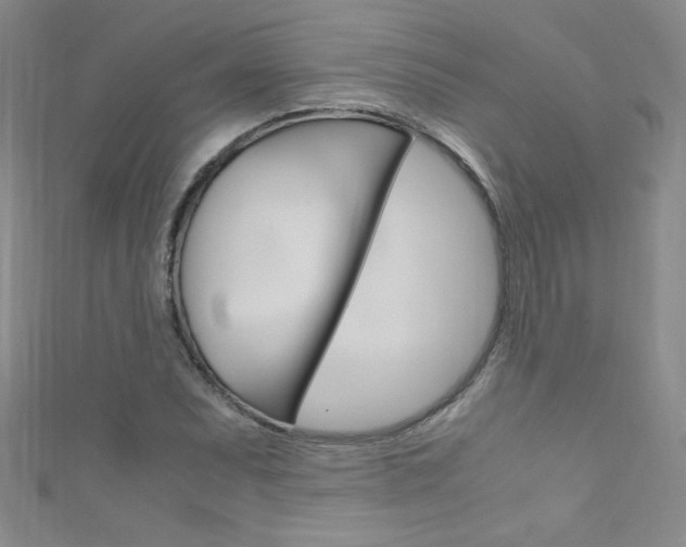 X0000111661071200907171114