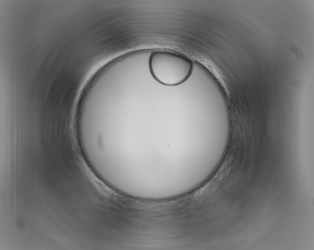 X0000111661072200907171114