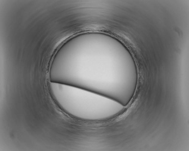 X0000111661073200907171114