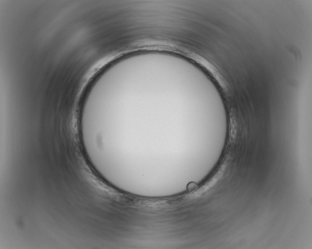 X0000111661074200907171114