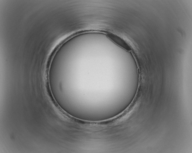 X0000111661077200907171114