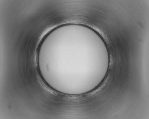 X0000111661078200907171114