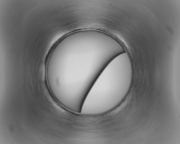 X0000111661079200907171114