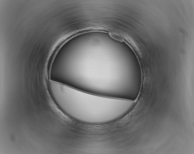 X0000111661080200907171114