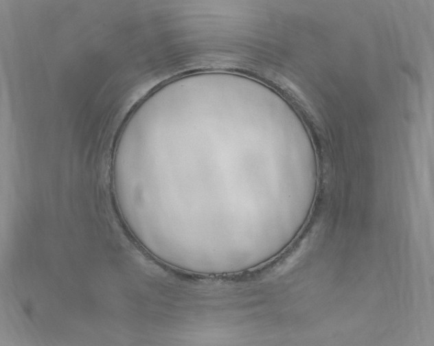 X0000111661081200907171114