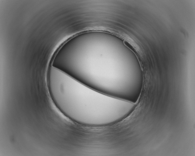 X0000111661084200907171114
