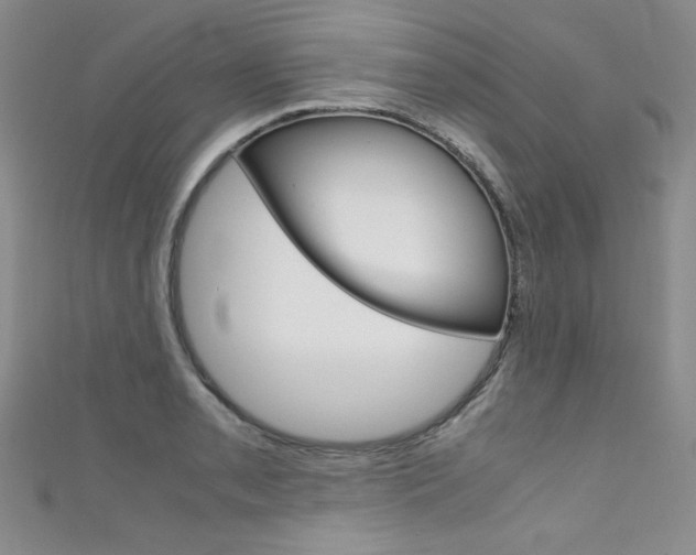 X0000111661085200907171114