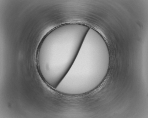 X0000111661087200907171114