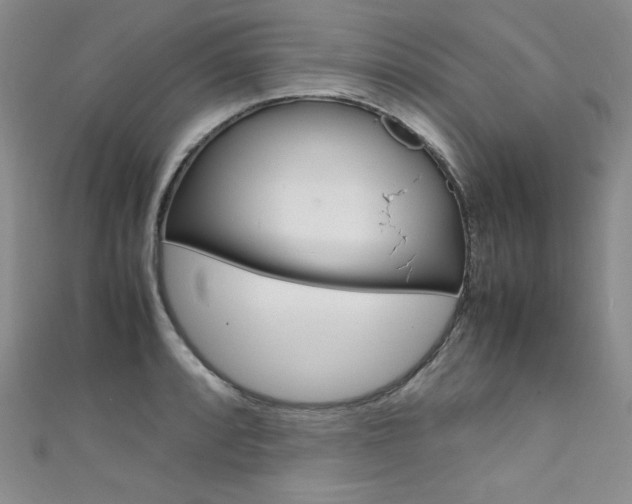 X0000111661088200907171114