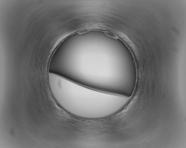 X0000111661089200907171114