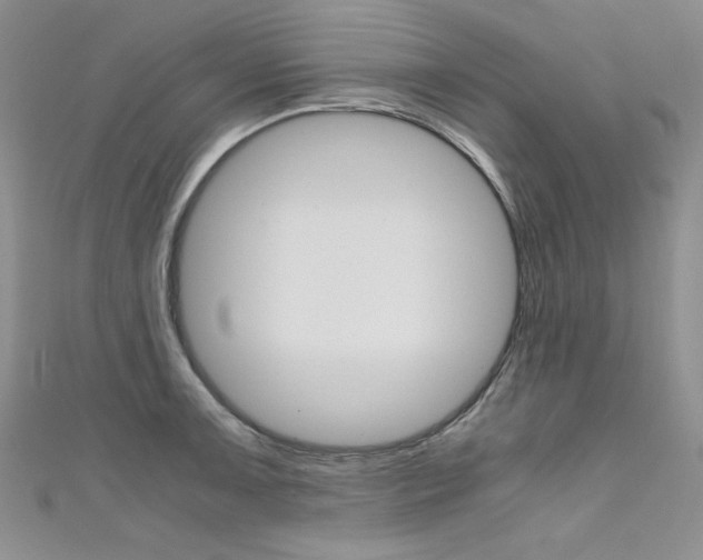 X0000111661091200907171114