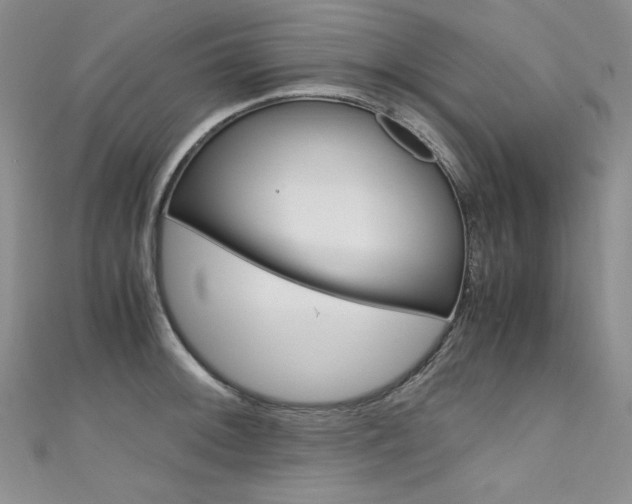 X0000111661092200907171114