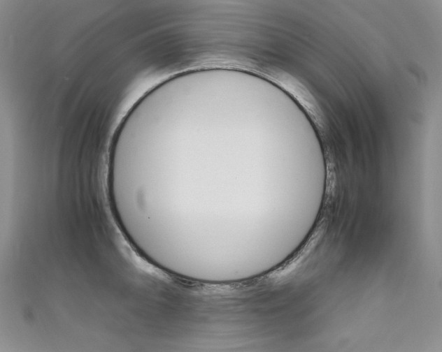 X0000111661094200907171114