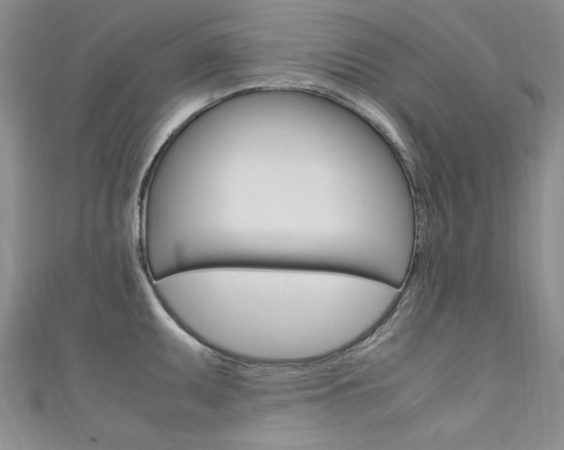 X0000111661095200907171114