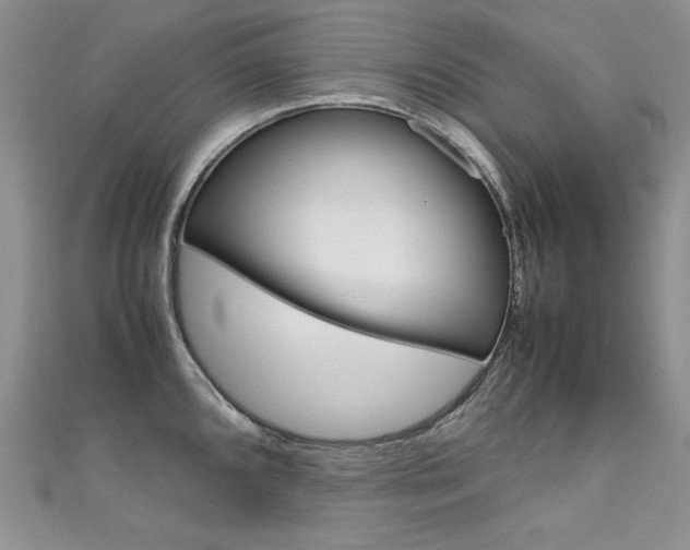 X0000111661096200907171114