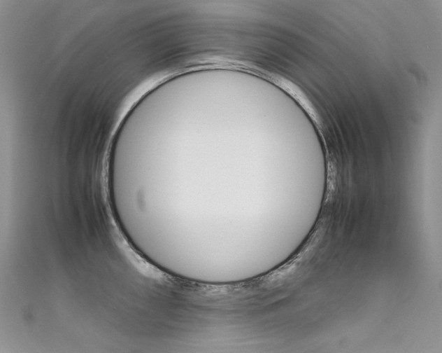 X0000111661098200907171114