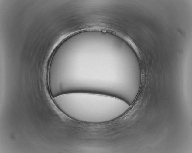 X0000111661099200907171114