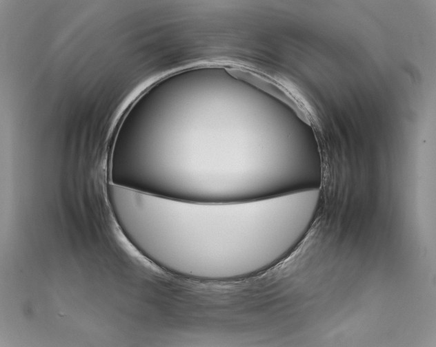 X0000111661100200907171114