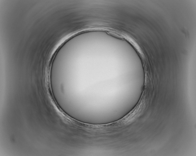 X0000111661101200907171114