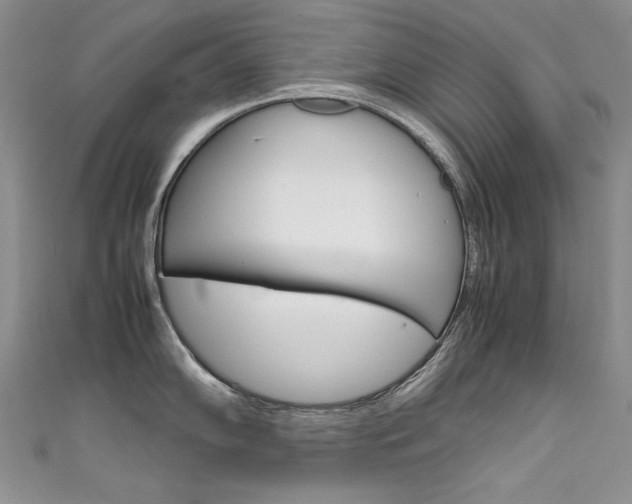 X0000111661102200907171114