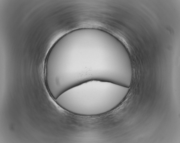 X0000111661103200907171114