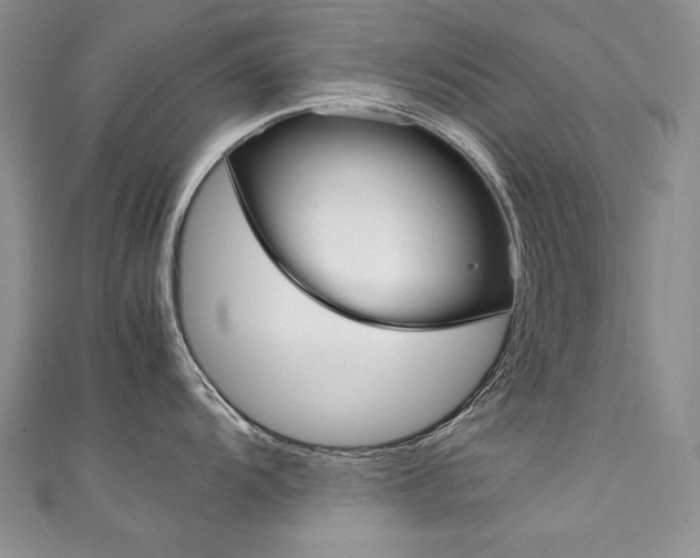 X0000111661104200907171114