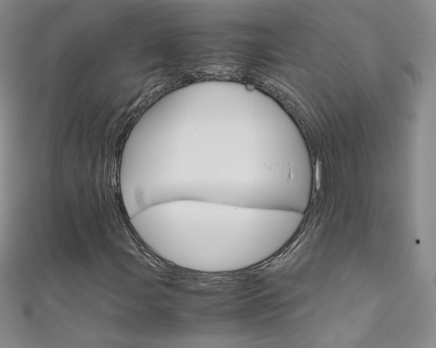 X0000111661107200907171113