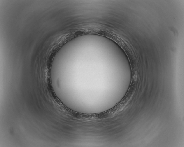 X0000111661108200907171113