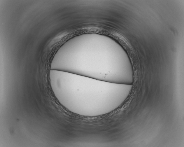 X0000111661111200907171113